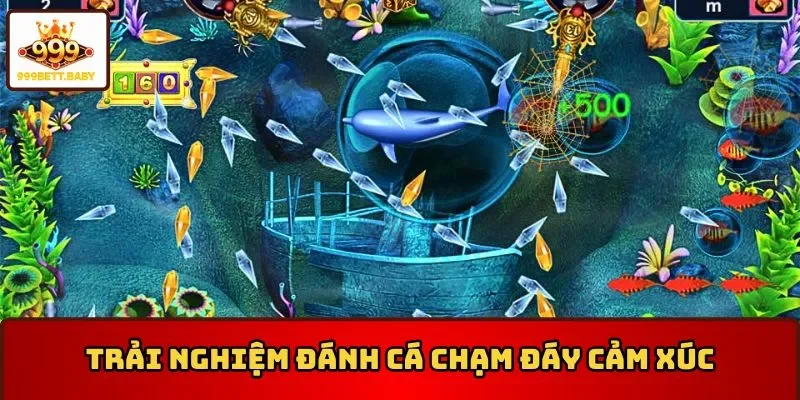 Trải nghiệm đánh cá chạm đáy cảm xúc